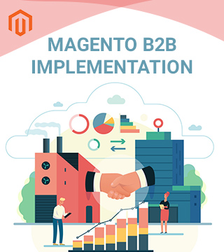 Magento B2B implementation (India)