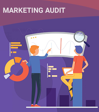 Marketing Audit Company in India